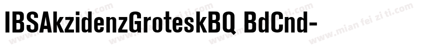 IBSAkzidenzGroteskBQ BdCnd字体转换